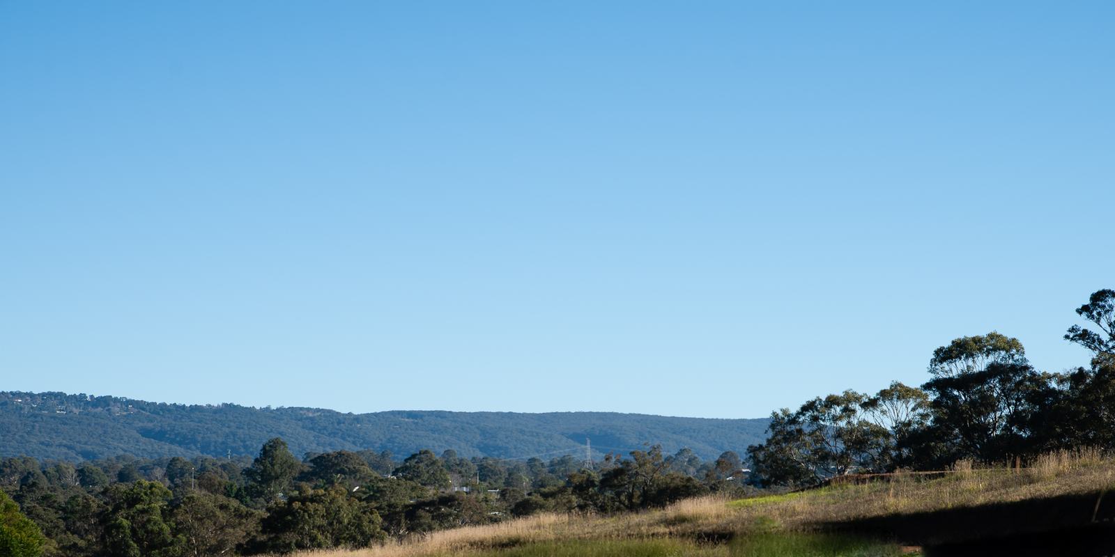 A wide expanse of clear blue sky above a long forested ridgeline, with rough grass paddocks in the foreground.