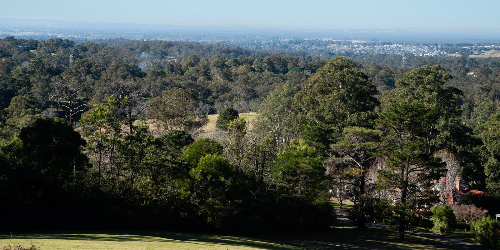 Dense eucalypt canopy in the foreground looking out over a wooded plain, with a distant city skyline just visible on the horizon.