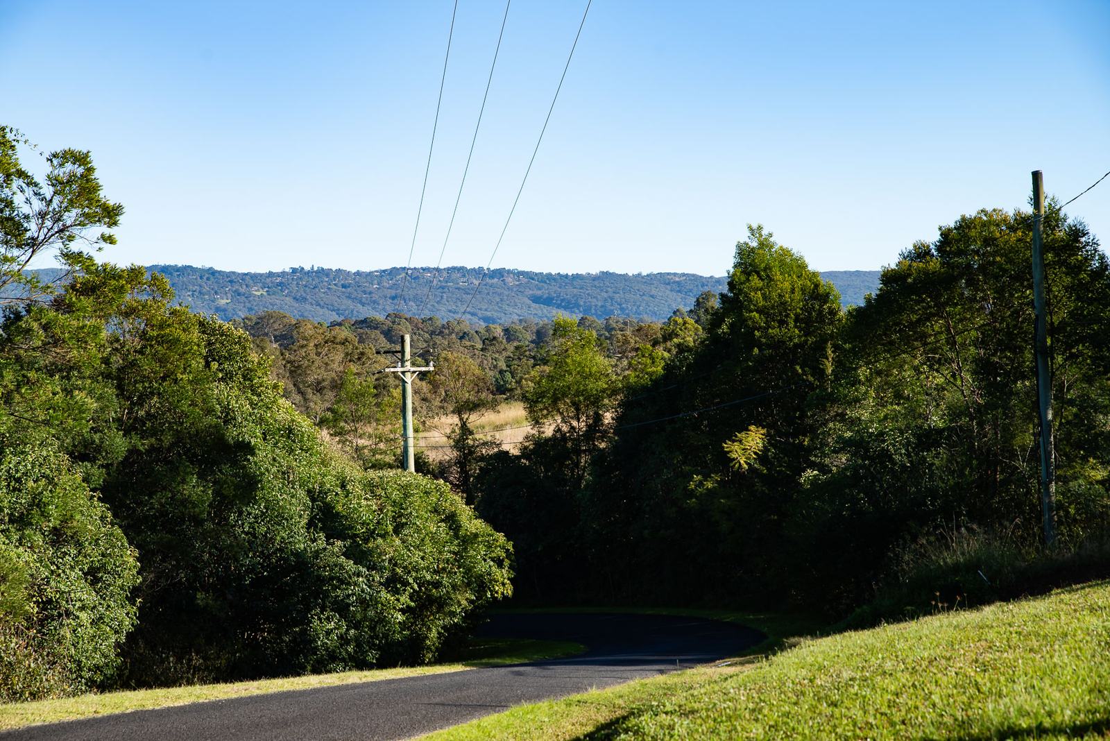 A narrow country road bending downhill through thick roadside bush, with a forested ridge in the distance.