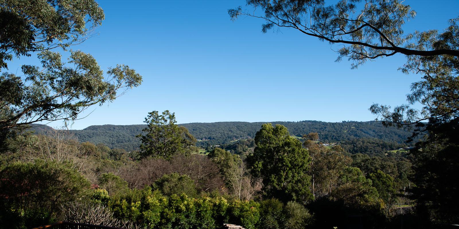 Eucalypt branches framing a clear blue sky above a forested ridge, with houses and paddocks tucked into the valley below.