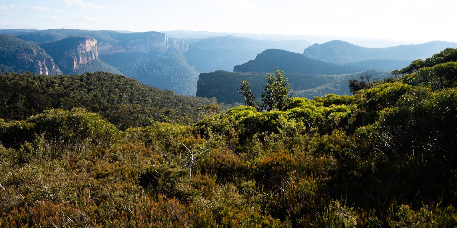 Low sunlit heath and scrub in the foreground, with a deep canyon and flat-topped ridges beyond.