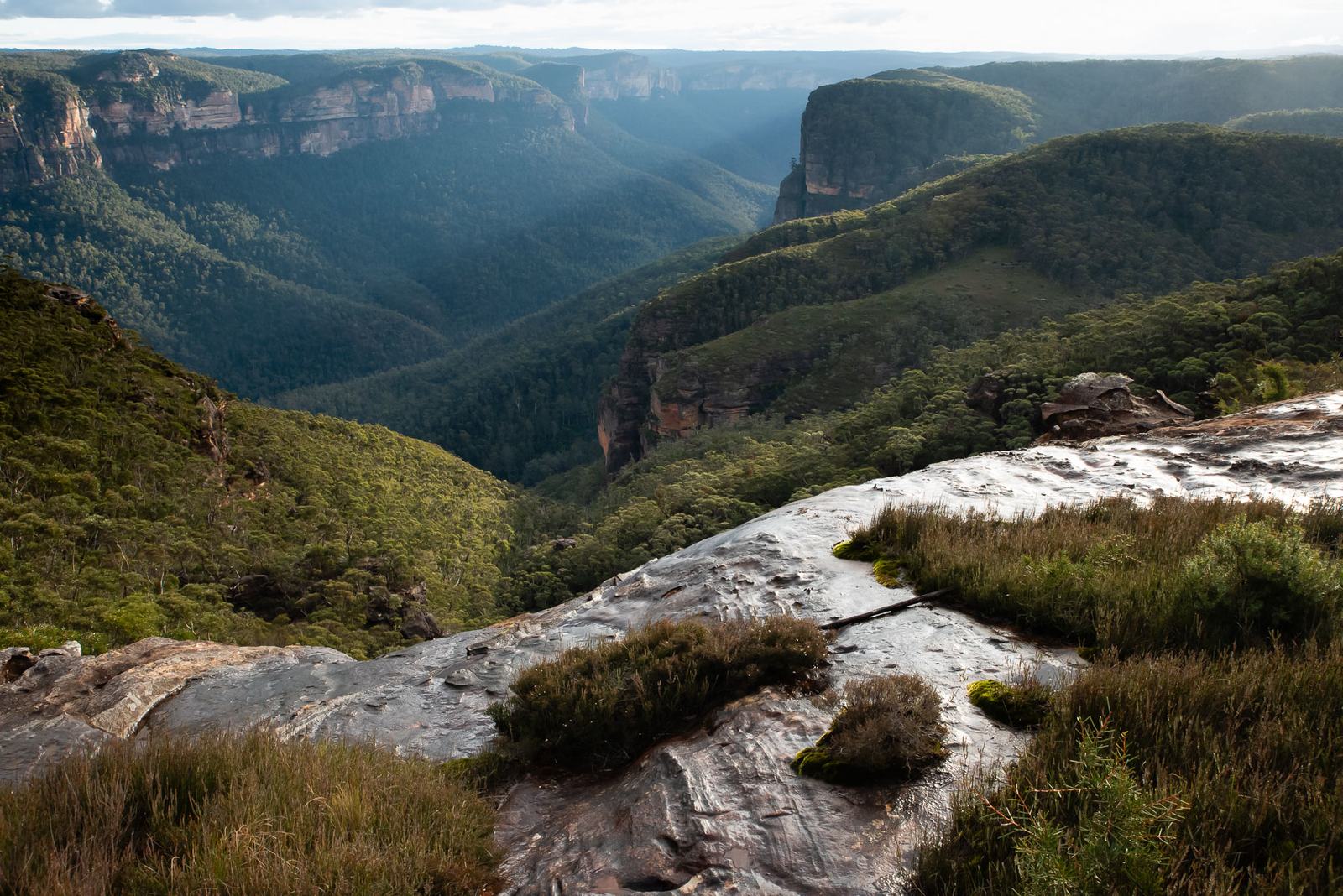 A wide forested canyon seen from a bare sandstone platform, with cliff lines receding into the haze.