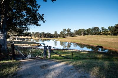 A still farm dam reflecting the sky, seen past a large gum tree and a farm gate.